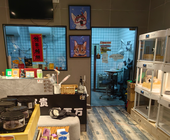 上海开宠物店投资多少钱？从成本拆解到盈利策略