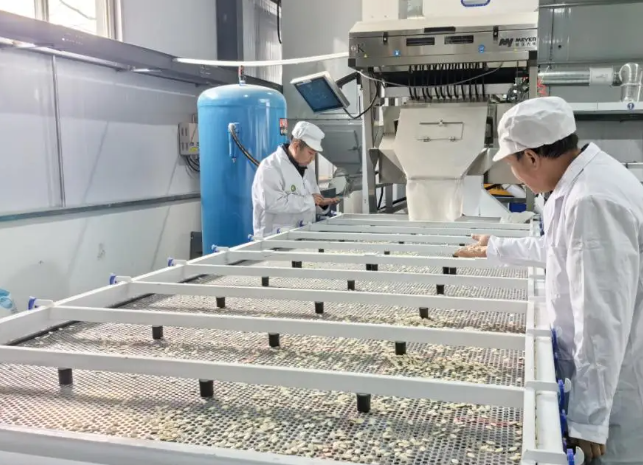 上海开一个瓜子厂要投资多少钱？全流程成本拆解与运营策略