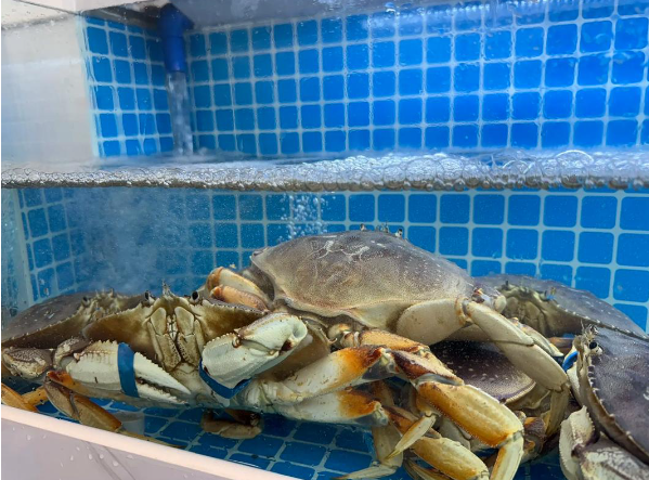 上海开海鲜门市要投资多少钱？基础建设成本