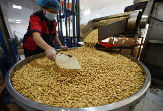 上海开个花生加工厂得投资多少钱？全方位投资分析