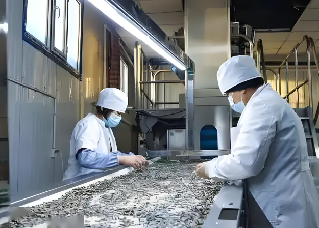 上海开一个瓜子厂要投资多少钱？全流程成本拆解与运营策略