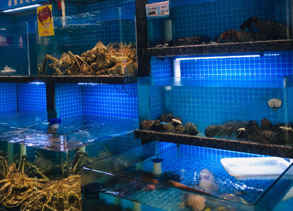 上海开海鲜门市要投资多少钱？基础建设成本