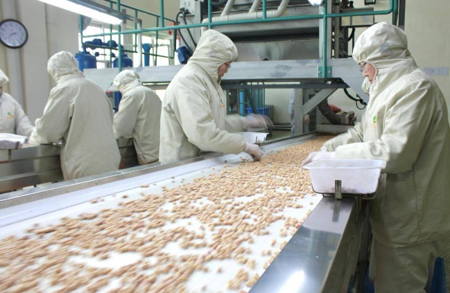 上海开个花生加工厂得投资多少钱？全方位投资分析