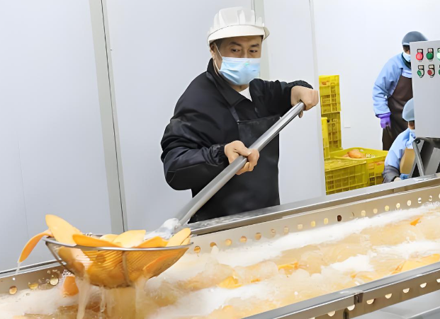 上海薯片厂投资多少？上海薯片厂投资全解析
