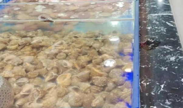 开一家自助海鲜店大概投资多少钱？核心成本构成