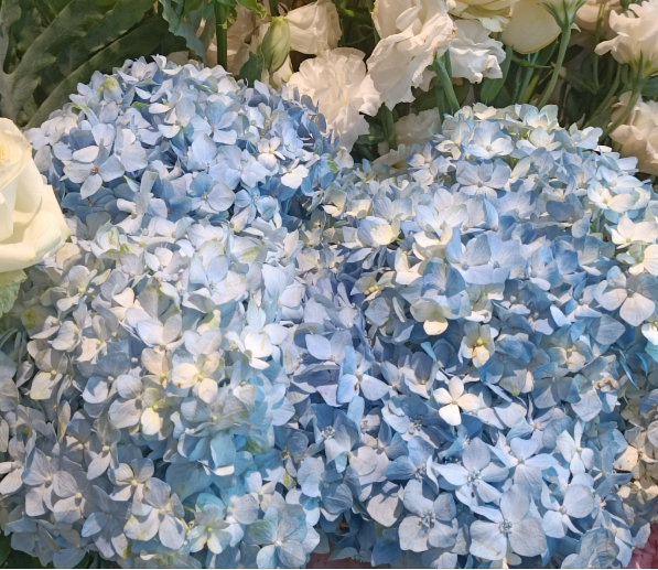 在上海开一家花店要投资多少钱？核心成本构成