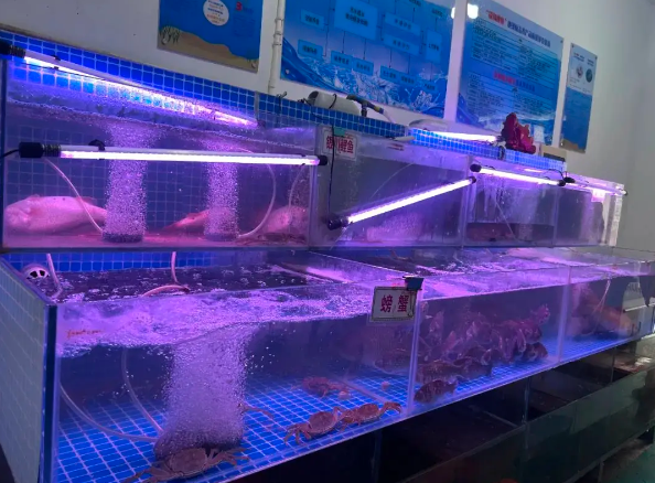 开一家水产店要多少钱？全流程成本解析