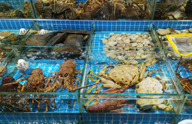上海开个水产店需要多少钱？全流程成本解析