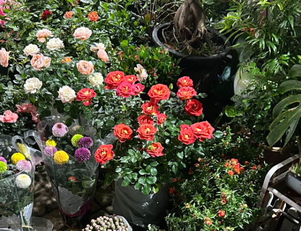 上海开花店一般要投资多少钱？全流程成本解析与实战指南