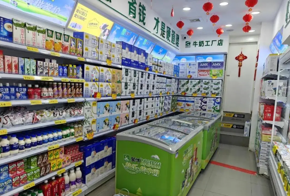上海开奶制品批发要多少钱？核心成本构成