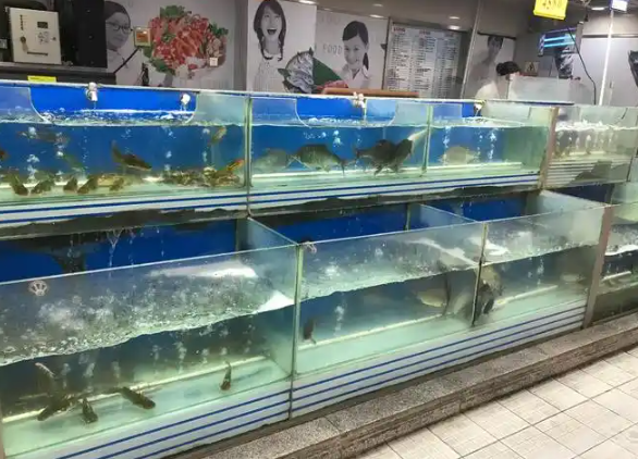 上海开个水产店需要多少钱？全流程成本解析
