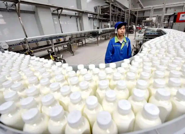上海开乳制品厂要多少钱？完整投资指南
