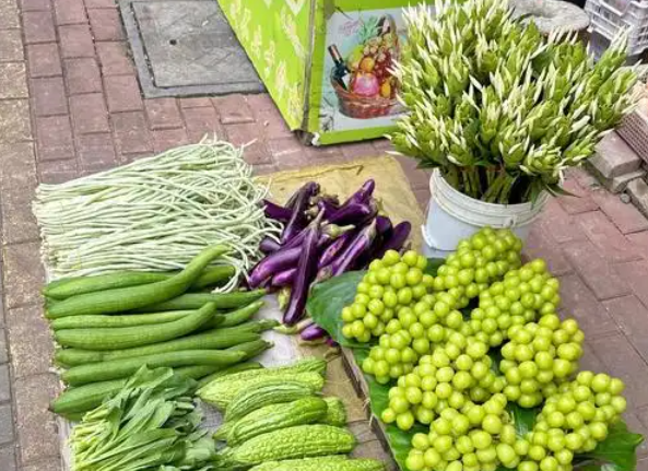 上海卖菜需要投资多少钱？上海卖菜投资指南