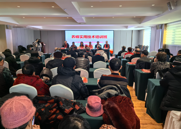 上海开技术培训班赚钱吗？机遇与挑战并存的财富密码