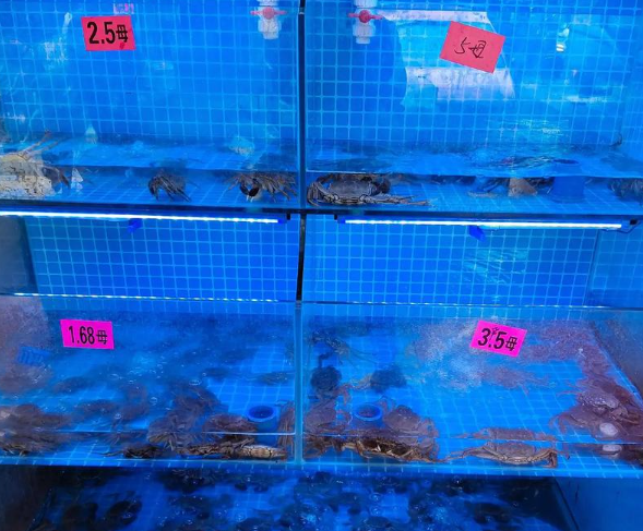开个水产店大概多少钱？全流程成本解析与盈利指南