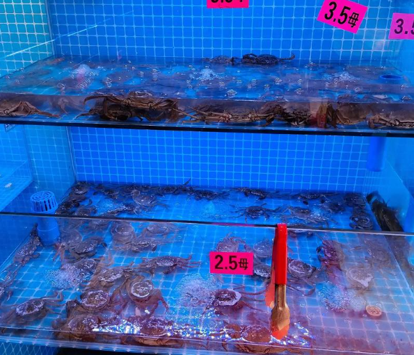 开个水产店大概多少钱？全流程成本解析与盈利指南