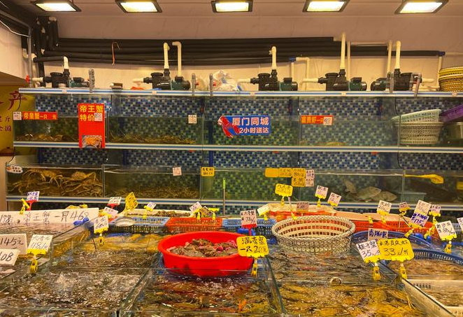 开个水产店大概多少钱？全流程成本解析与盈利指南