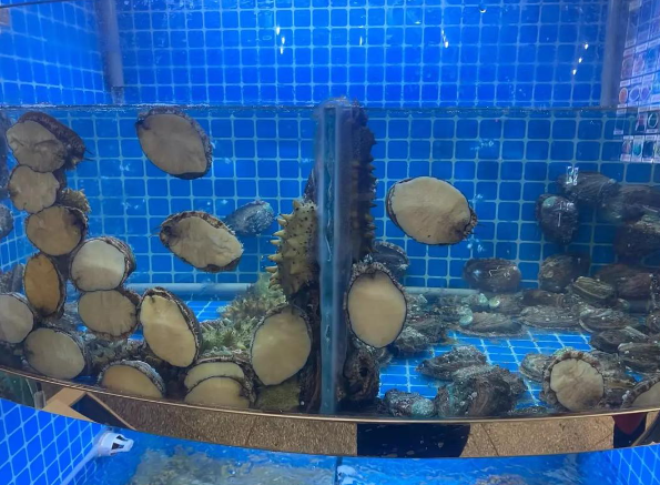 在上海开水产批发网店赚钱吗