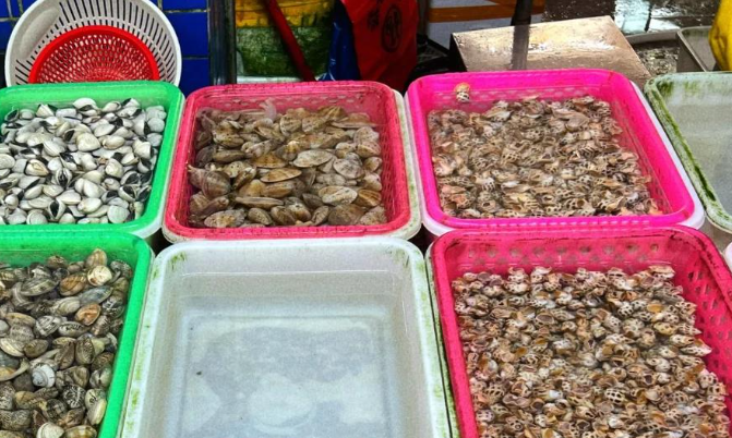 上海开上海的水产批发市场店赚钱吗