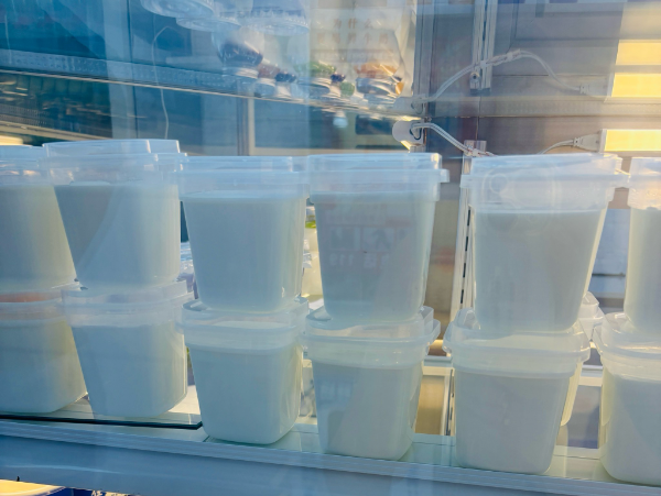 开上海本地乳业店赚钱吗？投资前景探讨