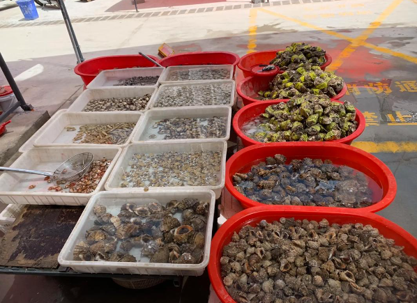 上海开上海的水产批发市场店赚钱吗