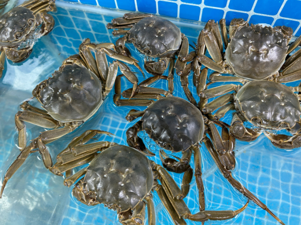 开个水产店需要多少钱？全流程成本解析
