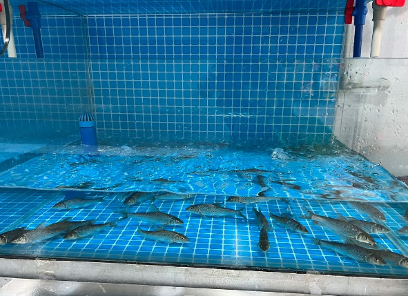 开个水产店需要多少钱？全流程成本解析
