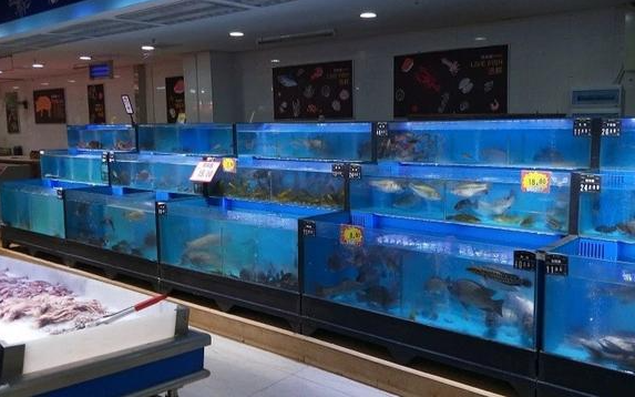开个水产店需要多少钱？全流程成本解析