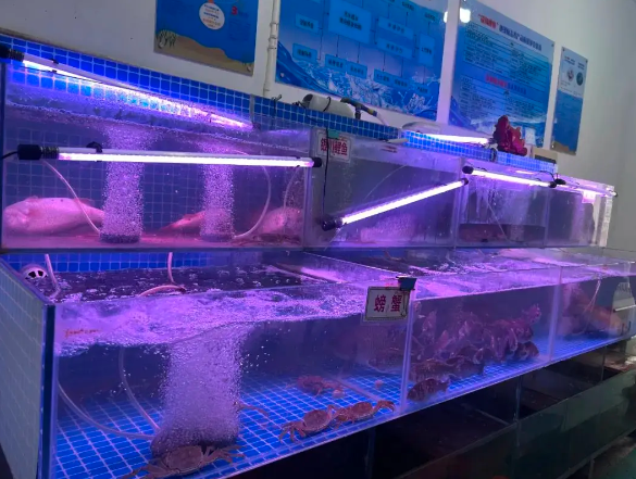 开水产批发价店要多少钱？开水产批发价店成本全解析