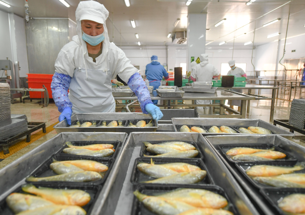 开水产品加工厂要多少钱？成本分析与投资策略