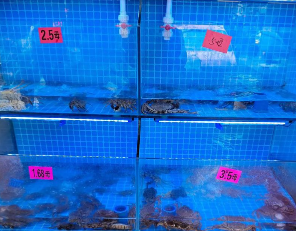 开水产批发价店要多少钱？开水产批发价店成本全解析