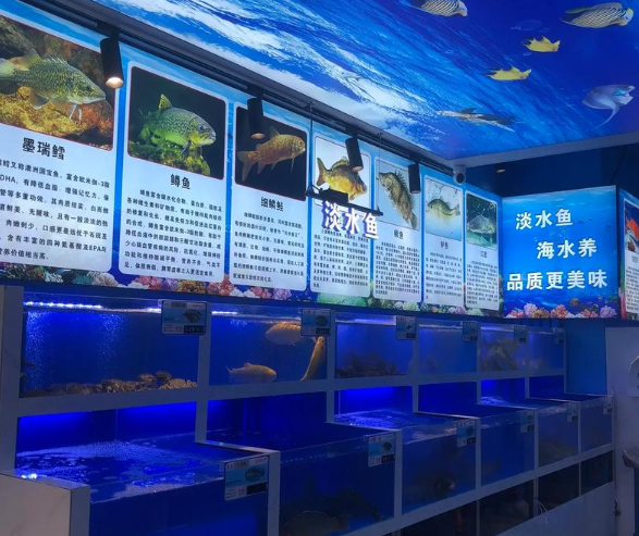 开水产批发网店要多少钱？全流程成本解析