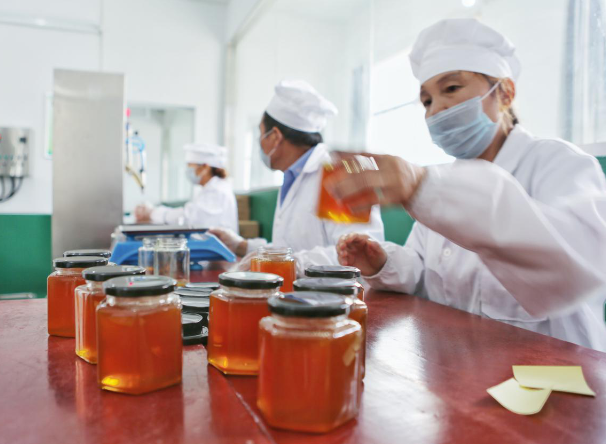 建一个蜂蜜加工厂大概需要多少钱？投资资金规划
