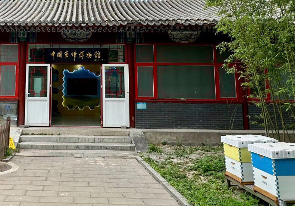 开蜜蜂博物馆要多少钱？全维度成本解析