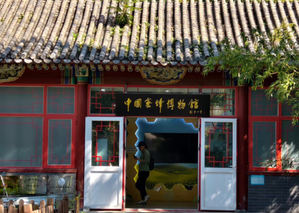 开蜜蜂博物馆要多少钱？全维度成本解析