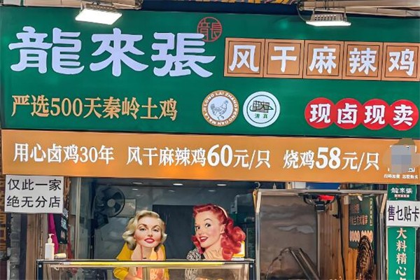龙来张风干麻辣鸡加盟