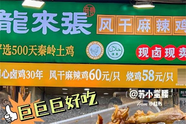 龙来张风干麻辣鸡加盟