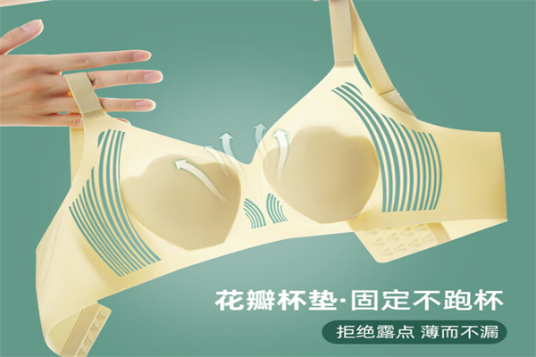 本草纲目内衣