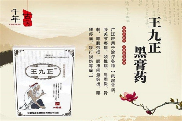 王九正养生