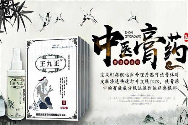 王九正养生