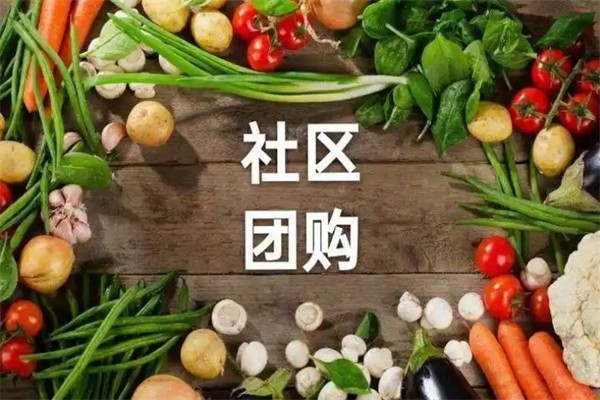莱西团团团团购