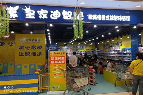皇家迪智尼益智玩具