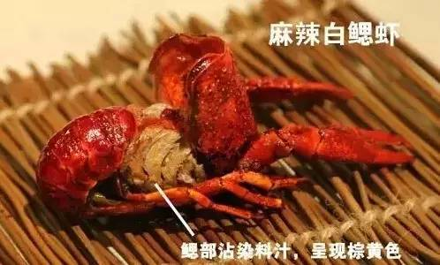 忘不了手抓龙虾