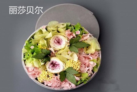 丽莎贝尔
