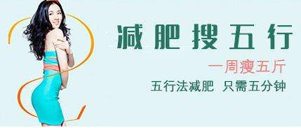 中医五行经络代谢减肥