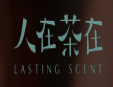 人在茶在加盟