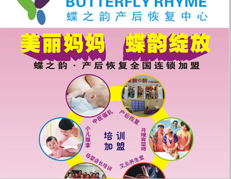蝶之韵