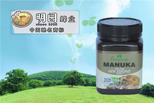 明园蜂业加盟