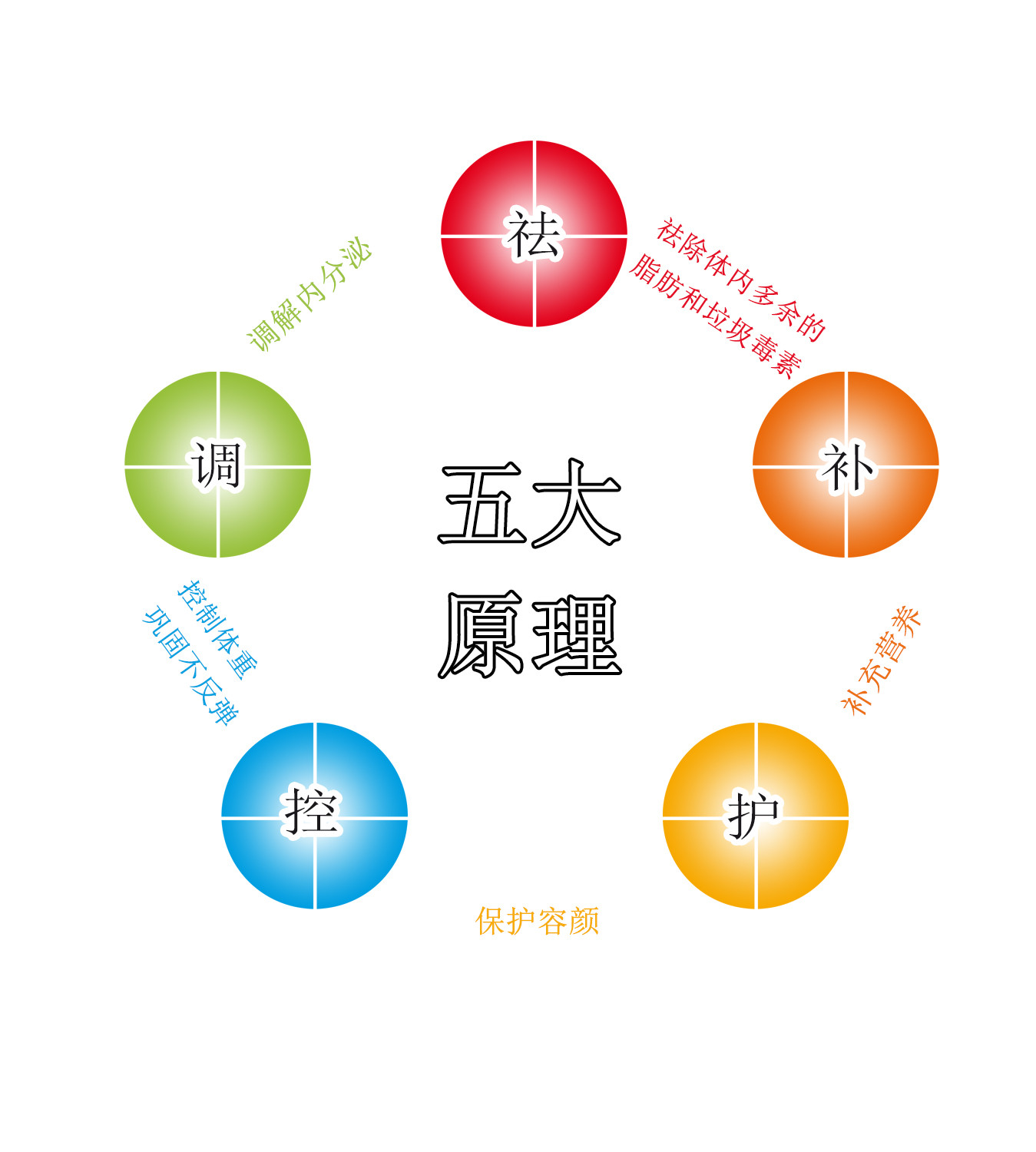 秀瑞斯减肥加盟