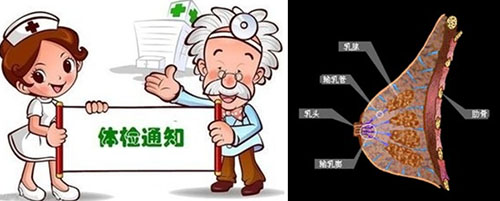 时尚女人心内衣